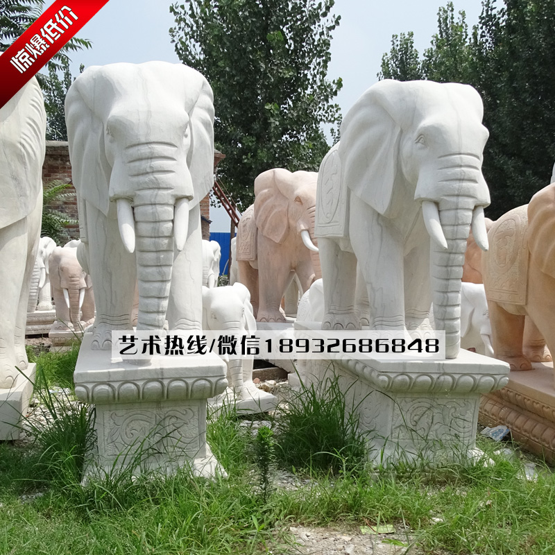 专业加工石雕大象制作厂家,汉白玉石雕大象供应销售,现货石雕大象批发价格
